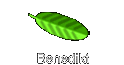 Benedikt